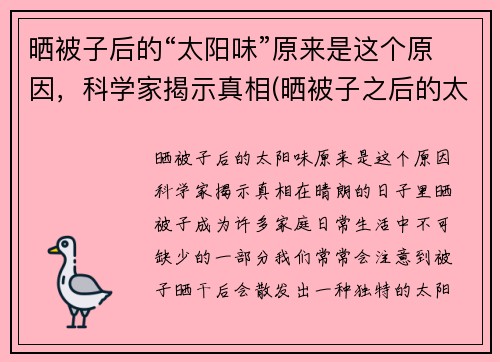 晒被子后的“太阳味”原来是这个原因，科学家揭示真相(晒被子之后的太阳味道)